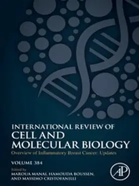Manai / Cristofanilli / Boussen | Overview of Inflammatory Breast Cancer: Updates | E-Book | sack.de