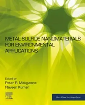 Makgwane / Kumar | Metal Sulfide Nanomaterials for Environmental Applications | E-Book | sack.de