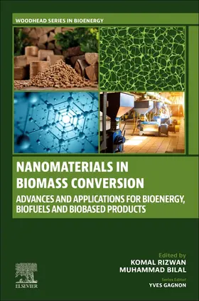 Rizwan / Bilal | Nanomaterials in Biomass Conversion | Buch | 978-0-443-13500-2 | sack.de