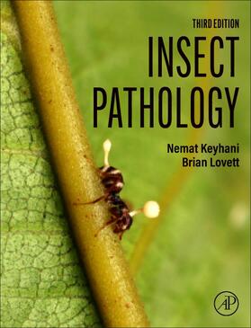 Keyhani / Lovett | Insect Pathology | Buch | 978-0-443-13549-1 | sack.de
