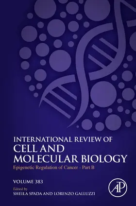 Epigenetic Regulation of Cancer - Part B | Buch | 978-0-443-13653-5 | sack.de