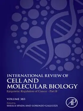 Spada / Galluzzi | Epigenetic Regulation of Cancer - Part B | E-Book | sack.de