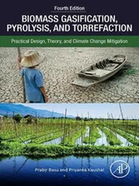 Basu / Kaushal | Biomass Gasification, Pyrolysis, and Torrefaction | E-Book | sack.de