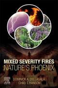 DellaSala / Hanson |  Mixed Severity Fires | Buch |  Sack Fachmedien