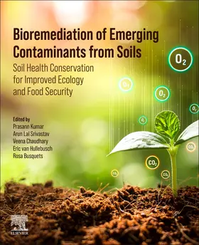 Srivastav / Kumar / van Hullebusch |  Bioremediation of Emerging Contaminants from Soils | Buch |  Sack Fachmedien