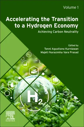 Kurniawan / Vara Prasad |  Accelerating the Transition to a Hydrogen Economy | Buch |  Sack Fachmedien