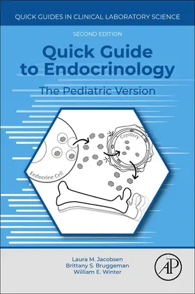 Winter E / Bruggeman S / Jacobsen |  Quick Guide to Endocrinology | Buch |  Sack Fachmedien