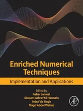 Jameel / Ul Harmain / Singh | Enriched Numerical Techniques | E-Book | www.sack.de