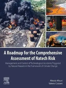 Misuri / Cozzani | A Roadmap for the Comprehensive Assessment of Natech Risk | E-Book | www.sack.de