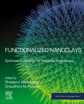 Mallakpour / Mustansar Hussain |  Functionalized Nanoclays | Buch |  Sack Fachmedien