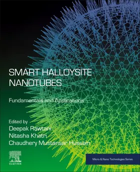 Rawtani / Khatri / Mustansar Hussain |  Smart Halloysite Nanotubes | Buch |  Sack Fachmedien