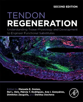 Gomes / Reis / Rodrigues | Tendon Regeneration | Buch | 978-0-443-15916-9 | sack.de