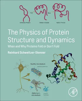 Schweitzer-Stenner | The Physics of Protein Structure and Dynamics | Buch | 978-0-443-15964-0 | sack.de