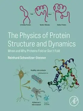 Schweitzer-Stenner | The Physics of Protein Structure and Dynamics | E-Book | sack.de