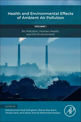 Dehghani / Karri / Hassan |  Health and Environmental Effects of Ambient Air Pollution | Buch |  Sack Fachmedien