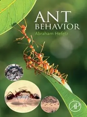 Hefetz Ph. D / Hefetz | Ant Behavior | E-Book | www.sack.de