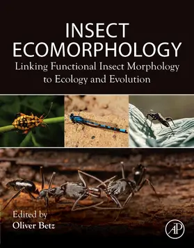 Betz |  Insect Ecomorphology | Buch |  Sack Fachmedien