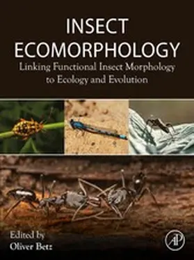 Betz | Insect Ecomorphology | E-Book | www.sack.de