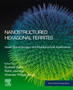 Kalia / Jasrotia / Pratap Singh |  Nanostructured Hexagonal Ferrites | eBook | Sack Fachmedien
