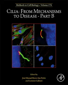 Cilia: From Mechanisms to Disease–Part B | Buch | 978-0-443-18588-5 | www.sack.de