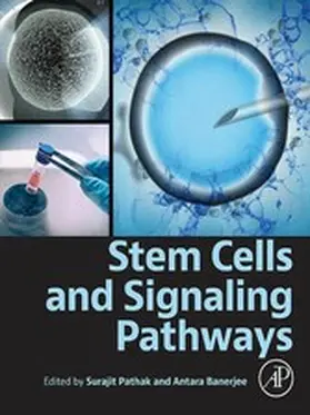 Pathak / Banerjee |  Stem Cells and Signaling Pathways | eBook | Sack Fachmedien