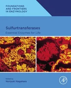 Nagahara |  Sulfurtransferases | eBook | Sack Fachmedien