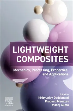 Doddamani / Menezes / Gupta |  Lightweight Composites | Buch |  Sack Fachmedien