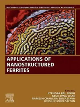 Pal Singh / Hwa?Chae / Srivastava |  Applications of Nanostructured Ferrites | eBook | Sack Fachmedien