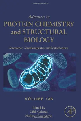  Senescence, Senotherapeutics and Mitochondria | Buch |  Sack Fachmedien
