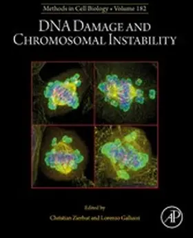 Zierhut / Galluzzi | DNA Damage and Chromosomal Instability | E-Book | sack.de