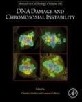 Zierhut / Galluzzi |  DNA Damage and Chromosomal Instability | eBook | Sack Fachmedien