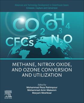 Rahimpour / Makarem / Meshksar | Advances and Technology Development in Greenhouse Gases: Emission, Capture and Conversion | Buch | 978-0-443-19069-8 | sack.de