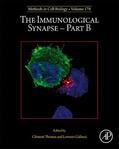  The Immunological Synapse - Part B | Buch |  Sack Fachmedien