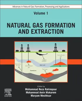 Rahimpour / Makarem / Meshksar |  Advances in Natural Gas: Formation, Processing and Applications. Volume 1: Natural Gas Formation and Extraction | Buch |  Sack Fachmedien