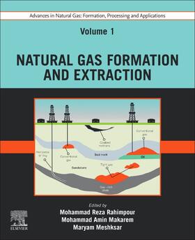 Meshksar / Rahimpour / Makarem | Advances in Natural Gas: Formation, Processing and Applications. Volume 1: Natural Gas Formation and Extraction | Buch | 978-0-443-19215-9 | sack.de