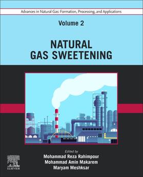 Meshksar / Rahimpour / Makarem | Advances in Natural Gas: Formation, Processing, and Applications. Volume 2: Natural Gas Sweetening | Buch | 978-0-443-19217-3 | sack.de