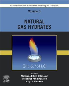 Meshksar / Rahimpour / Makarem | Advances in Natural Gas: Formation, Processing, and Applications. Volume 3: Natural Gas Hydrates | Buch | 978-0-443-19219-7 | sack.de