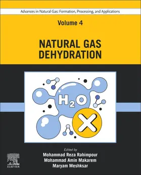 Rahimpour / Makarem / Meshksar |  Advances in Natural Gas: Formation, Processing, and Applications. Volume 4: Natural Gas Dehydration | Buch |  Sack Fachmedien