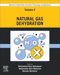 Meshksar / Rahimpour / Makarem |  Advances in Natural Gas: Formation, Processing, and Applications. Volume 4: Natural Gas Dehydration | Buch |  Sack Fachmedien