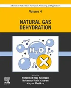 Rahimpour / Makarem / Meshksar | Advances in Natural Gas: Formation, Processing, and Applications. Volume 4: Natural Gas Dehydration | E-Book | www.sack.de