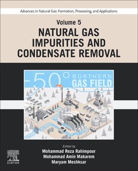 Meshksar / Rahimpour / Makarem | Advances in Natural Gas: Formation, Processing, and Applications. Volume 5: Natural Gas Impurities and Condensate Removal | Buch | 978-0-443-19223-4 | sack.de