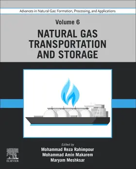 Rahimpour / Makarem / Meshksar | Advances in Natural Gas: Formation, Processing, and Applications. Volume 6: Natural Gas Transportation and Storage | Buch | 978-0-443-19225-8 | sack.de