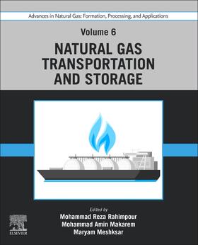 Meshksar / Rahimpour / Makarem | Advances in Natural Gas: Formation, Processing, and Applications. Volume 6: Natural Gas Transportation and Storage | Buch | 978-0-443-19225-8 | sack.de