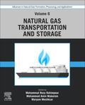 Meshksar / Rahimpour / Makarem |  Advances in Natural Gas: Formation, Processing, and Applications. Volume 6: Natural Gas Transportation and Storage | Buch |  Sack Fachmedien