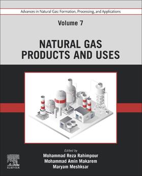 Meshksar / Rahimpour / Makarem | Advances in Natural Gas: Formation, Processing, and Applications. Volume 7: Natural Gas Products and Uses | Buch | 978-0-443-19227-2 | sack.de