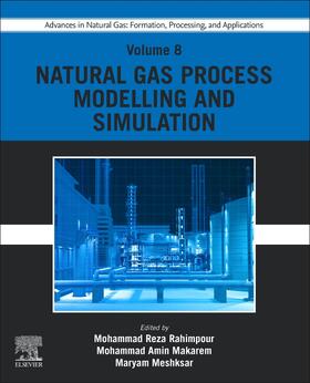 Meshksar / Rahimpour / Makarem | Advances in Natural Gas: Formation, Processing, and Applications. Volume 8: Natural Gas Process Modelling and Simulation | Buch | 978-0-443-19229-6 | sack.de