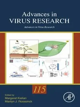 Kielian / Roossinck | Advances in Virus Research | E-Book | sack.de