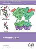 Litwack |  Adrenal Gland | eBook | Sack Fachmedien