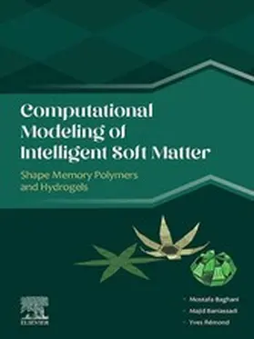 Baghani / Baniassadi / Rémond | Computational Modeling of Intelligent Soft Matter | E-Book | www.sack.de
