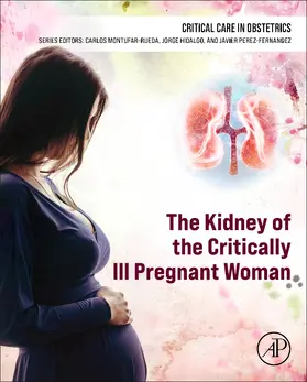 Hidalgo / Montufar-Rueda / Perez-Fernandez |  The Kidney of the Critically Ill Pregnant Woman | Buch |  Sack Fachmedien